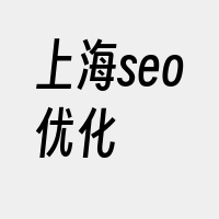 上海seo优化