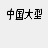 中国大型