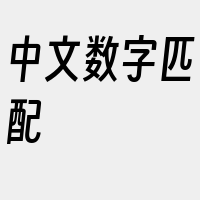 中文数字匹配