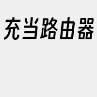 充当路由器