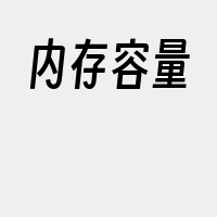 内存容量