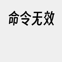 命令无效