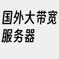 国外大带宽服务器