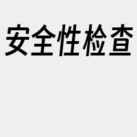 安全性检查