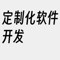 定制化软件开发