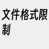 文件格式限制