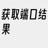 获取端口结果