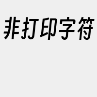 非打印字符