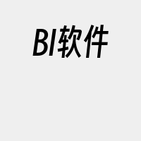 BI软件