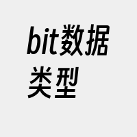 bit数据类型