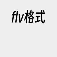 flv格式