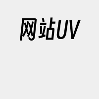 网站UV