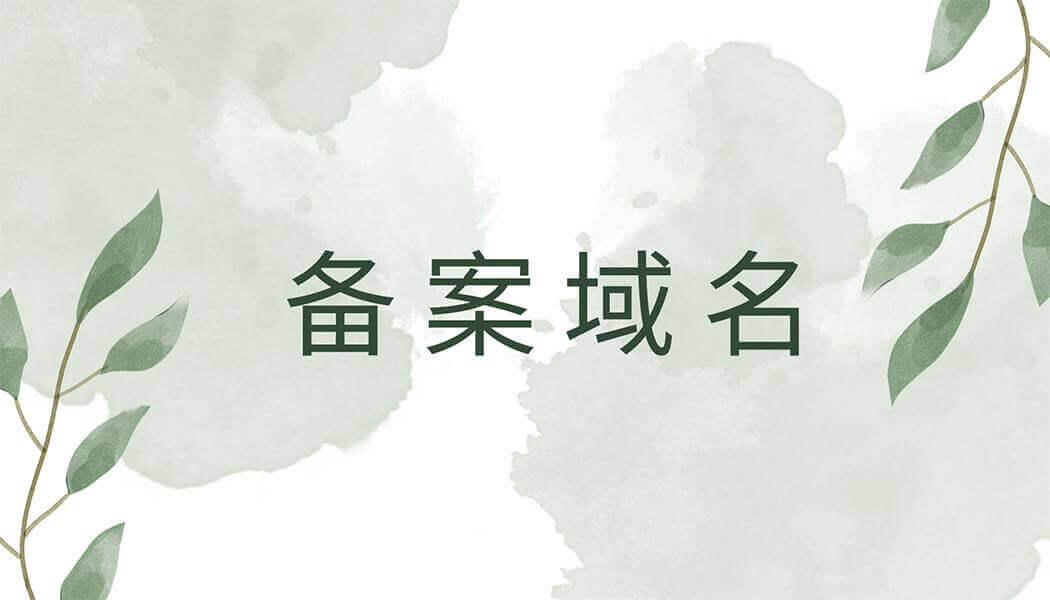 中文域名