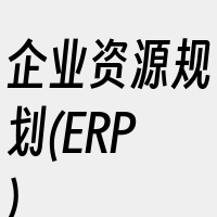 企业资源规划(ERP)