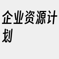 企业资源计划
