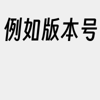 例如版本号