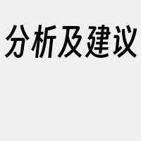 分析及建议