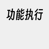 功能执行