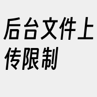 后台文件上传限制