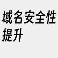 域名安全性提升