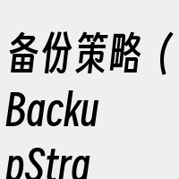 备份策略（BackupStrategy）