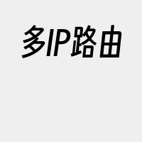多IP路由