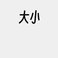 大小