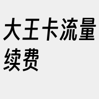 大王卡流量续费