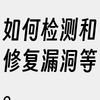 如何检测和修复漏洞等。