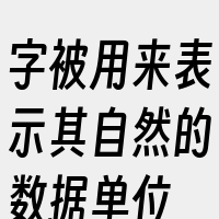 字被用来表示其自然的数据单位