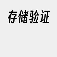 存储验证