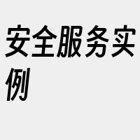 安全服务实例