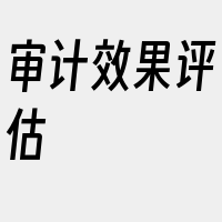 审计效果评估