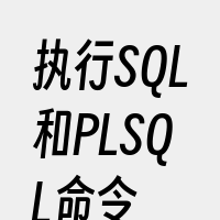 执行SQL和PLSQL命令