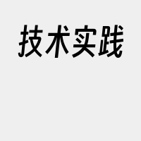技术实践