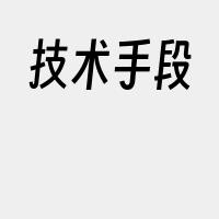 技术手段