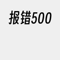 报错500