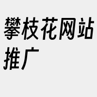 攀枝花网站推广