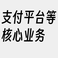 支付平台等核心业务