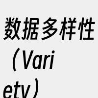 数据多样性（Variety）
