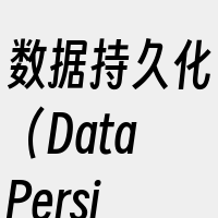 数据持久化（DataPersistenc
