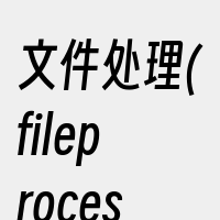 文件处理(fileprocessing)