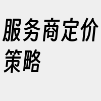 服务商定价策略