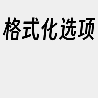 格式化选项