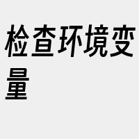 检查环境变量