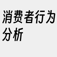 消费者行为分析