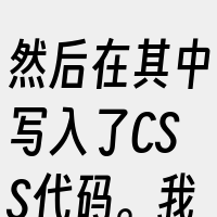 然后在其中写入了CSS代码。我们在CSS