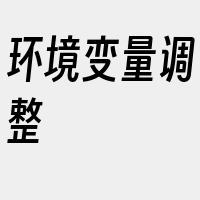 环境变量调整