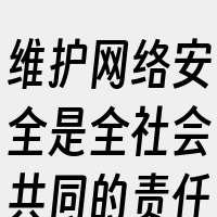 维护网络安全是全社会共同的责任。