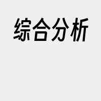 综合分析